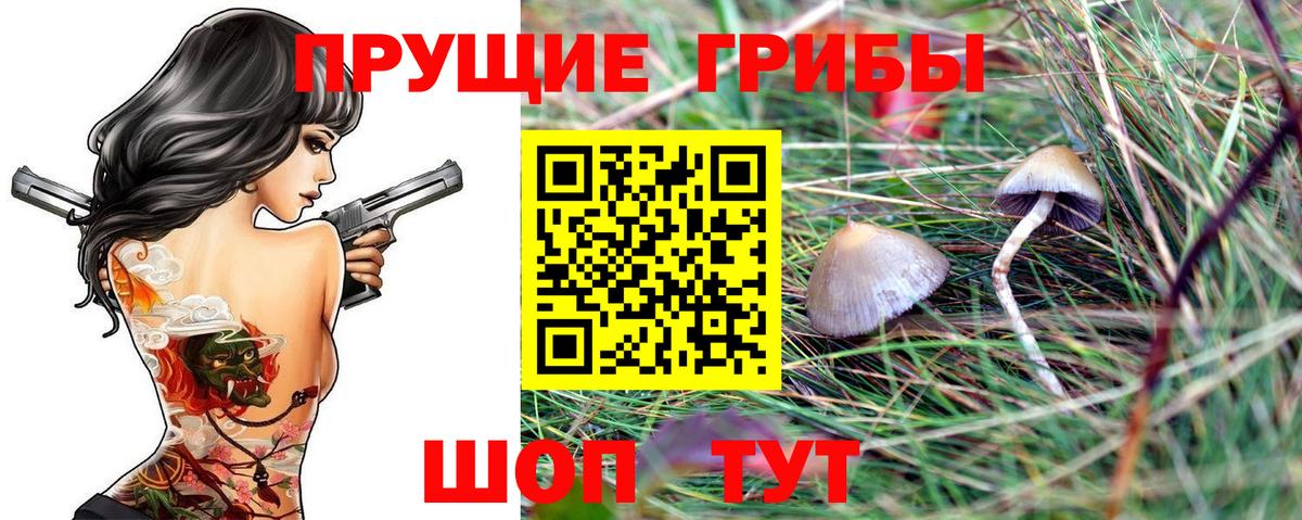 Псилоцибиновые грибы ЛСД  закладка  Кандалакша  Вход с VPN  Галлюциногенные грибы прущие грибы 