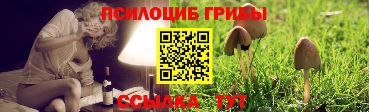 Псилоцибиновые грибы прущие грибы Кандалакша